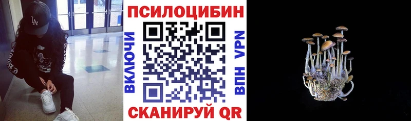Псилоцибиновые грибы Cubensis  Сусуман 